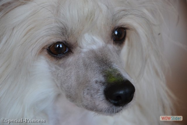 Een groene Elphaba, net zoals de heks
